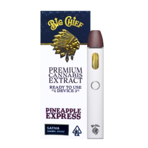 Pineapple Express AIO - 1g Big Chief